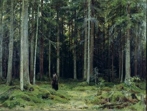 La forêt de la comtesse Mordvinov